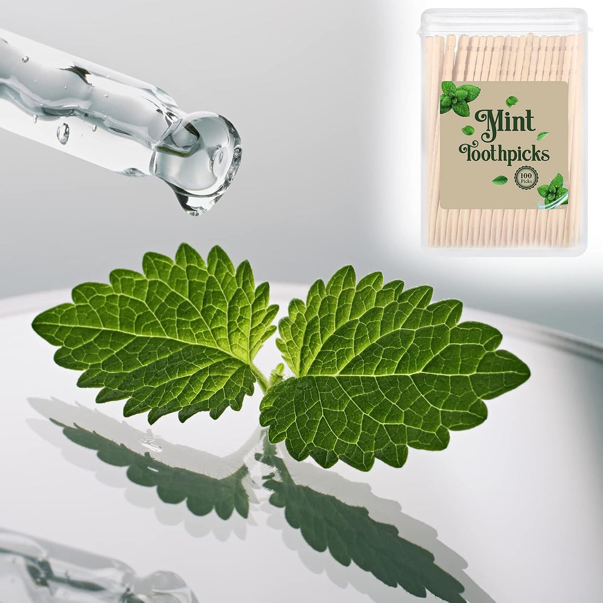 Irenare 600 Pcs Mint Flavored Wood Toothpicks with 6 Clear Storage Boxes