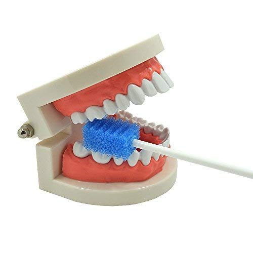 Oral Care Swabs Disposable- Blue 100 Counts