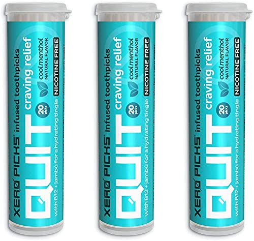 Xero Picks Infused Flavored Toothpicks to Help Quit Smoking - Nicotine Free - 60 Picks (3 Packs) (Hot Cinnamon) Non-GMO Kosher Vegan