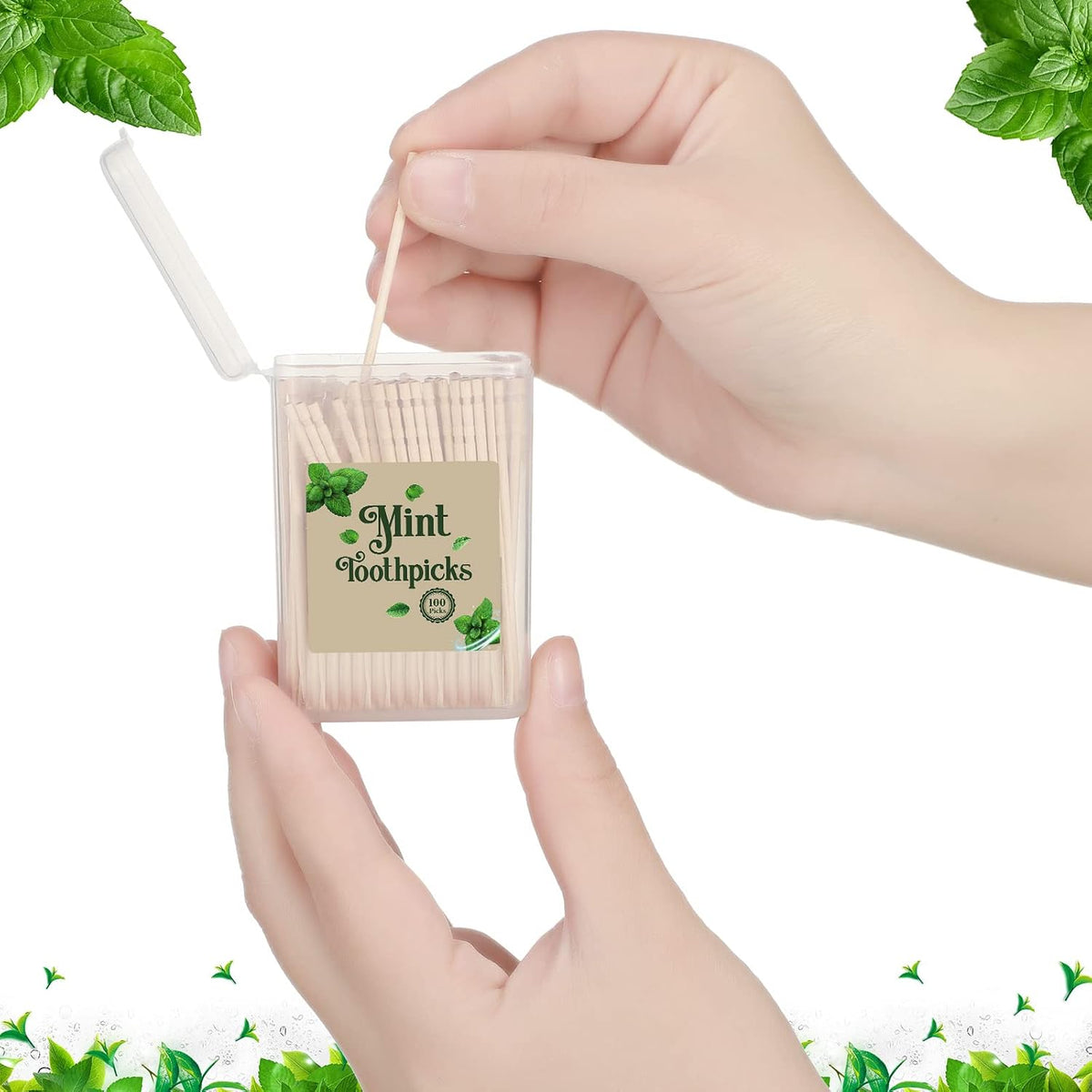 Irenare 600 Pcs Mint Flavored Wood Toothpicks with 6 Clear Storage Boxes