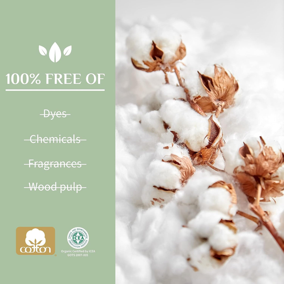 Organyc - 100% Certified Organic Cotton Swabs - No Man-Made Materials 200 count (6 Pack)