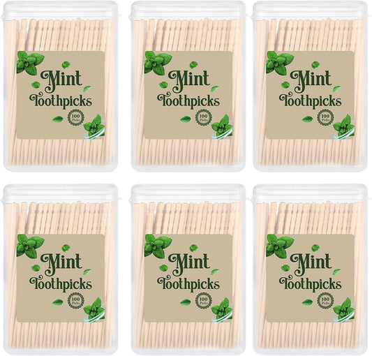 Irenare 600 Pcs Mint Flavored Wood Toothpicks with 6 Clear Storage Boxes