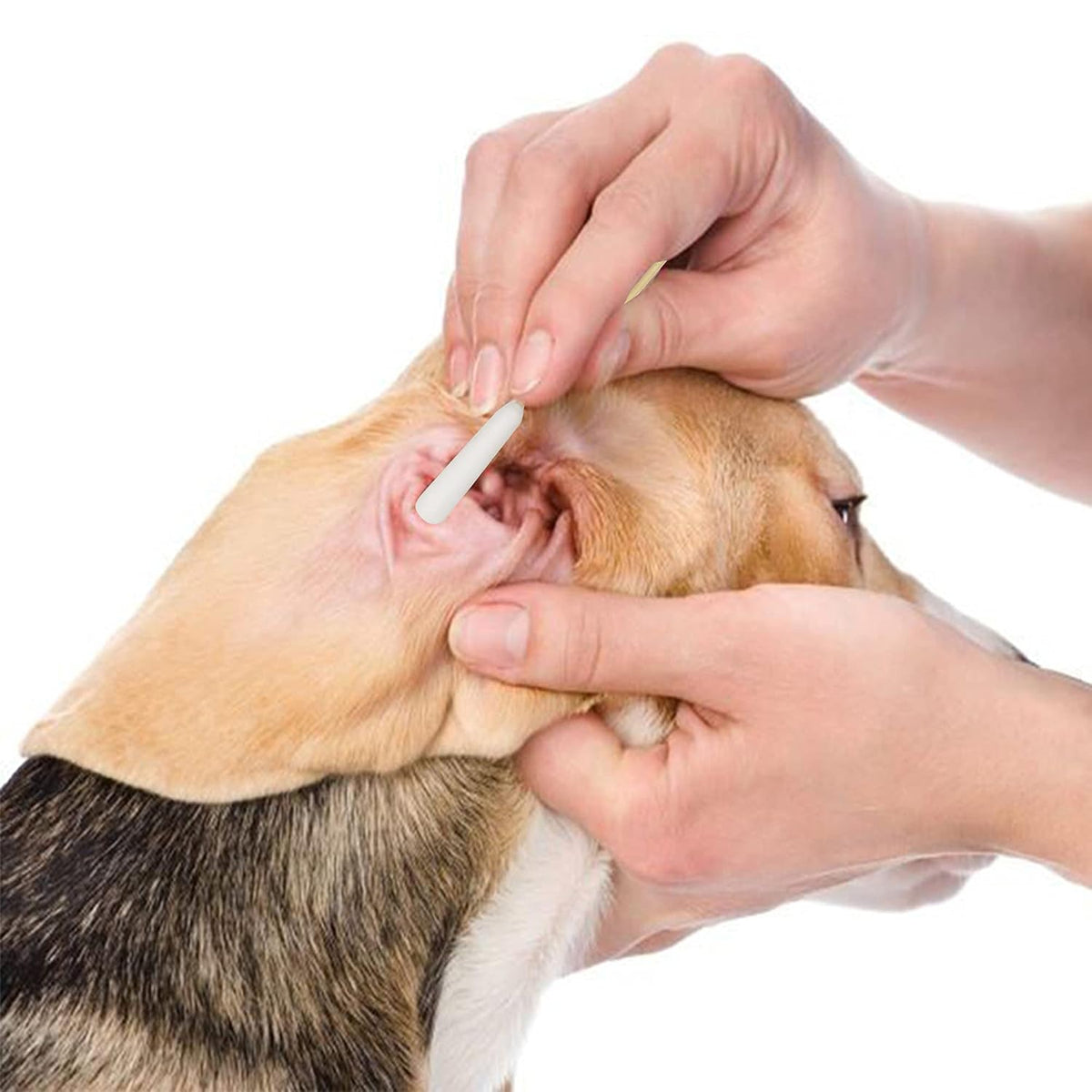 6 Inch Long Cotton Swabs of Medium&Large Pets Ears Cleaning,Makeup 400pcs