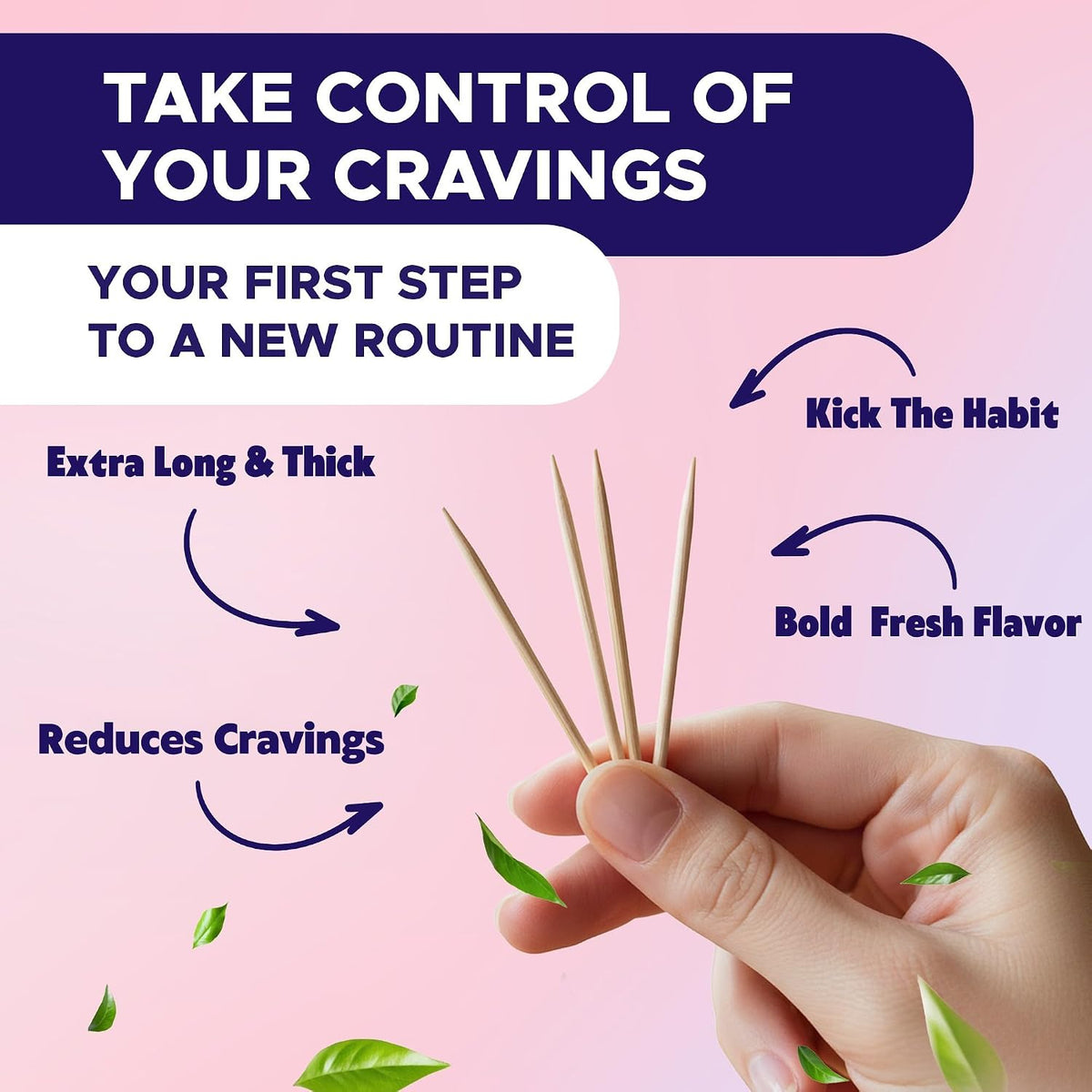 PurePix QuitPix Flavored Toothpicks, 5-Flavor Variety Pack, 100 Count