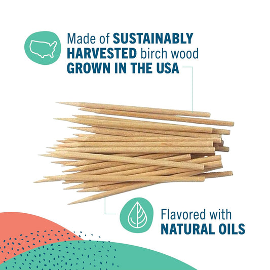 Preserve Mint Tea Tree Flavored Toothpicks, USA-Grown, 24-Pack (840 Picks)