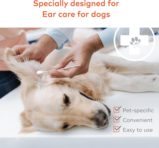 ARCA PET Cotton Swabs for Dogs and Cats - Cat & Dog Ear Cleaner Long Cotton Swab - Extra Large Cotton Head, Cat & Dog Ear Cleaning Kit for Puppies, Multipurpose Pet Cotton Swabs (Extra Large 100 Buds)